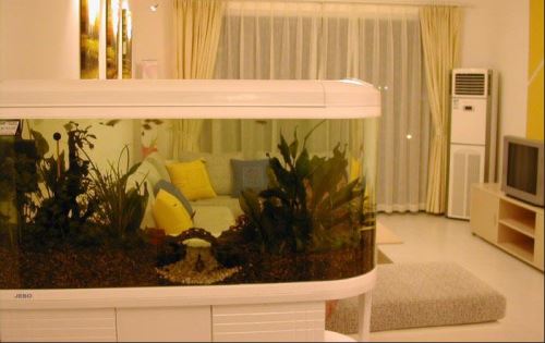 (玄關風水魚)